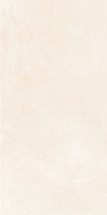 OL Marfil Matte 12 x 24